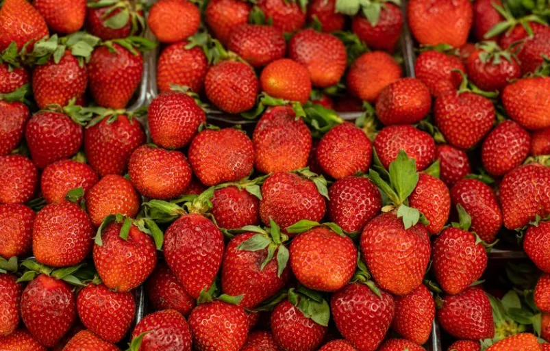 Morangos frescos e vibrantes, conhecidos por seu alto teor de antioxidantes e baixo valor calórico.