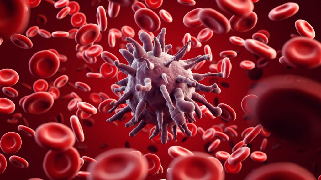 O que é celulite infecciosa? Especialistas alertam para sintomas que passam despercebidos 4 Imagem mostrando uma célula imunológica interagindo com células sanguíneas vermelhas, representando o sistema imunológico em ação